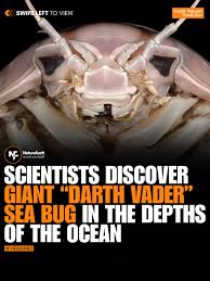 Image result for Seabug Divers