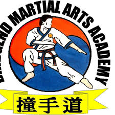 Image result for Burnham Karate Club