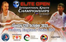 Image result for Twyford Higashi Karate Club