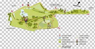 Image result for Rother Valley