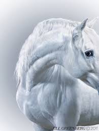 Image result for jill greenberg