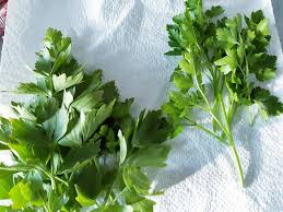 Image result for Liebstöckel