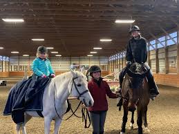 Image result for Annandale Equestrian Centre