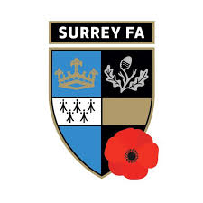 Image result for Byfleet Village Football Club