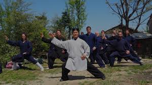 Image result for WUQI KUNG FU AND HEALTH SOCIETY