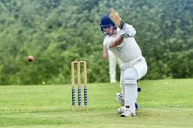 Image result for Hollingworth Cricket Club
