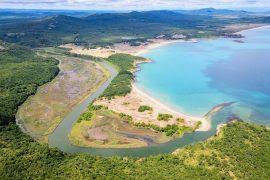Attēlu rezultāti vaicājumam “Dicranodontium denudatum”