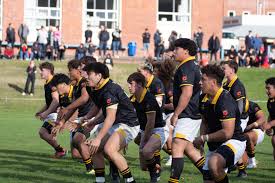 Image result for Wellington Rugby Football Club Limited