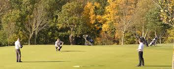Image result for Arscott Golf Club