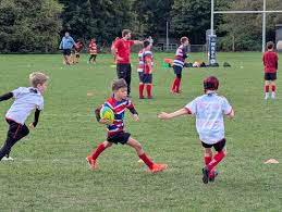 Image result for Watford Rugby Football Club