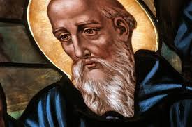 Image result for St Benedicts Rfc