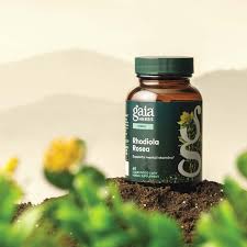 Attēlu rezultāti vaicājumam “Rhodiola rosea”