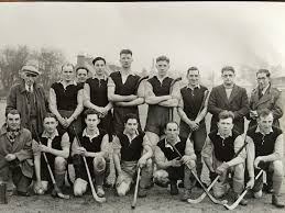 Image result for World of Shinty