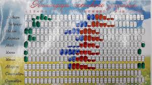 Картинки по запросу WoCa (Женский календарь)