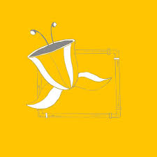 Attēlu rezultāti vaicājumam “Physarum album young”