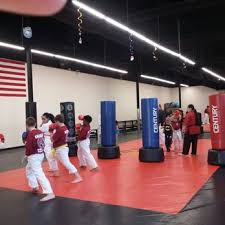 Image result for Martial Arts Karate Mesa AZ