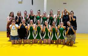Image result for Wealden Netball Club