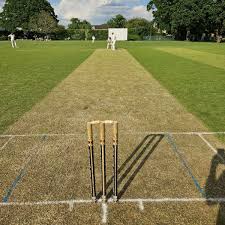Image result for Claygate Cricket Club
