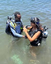 Image result for World Divers