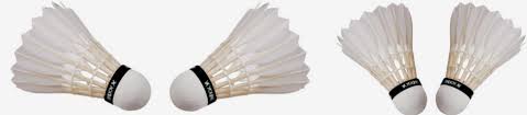Image result for Addison Badminton Club