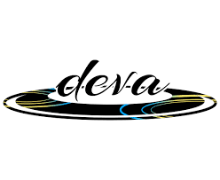 Image result for Deva Handball Club