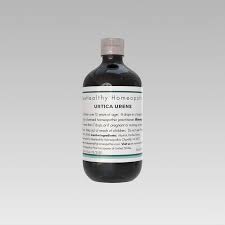 Attēlu rezultāti vaicājumam “Urtica urens”