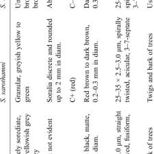Attēlu rezultāti vaicājumam “Scoliciosporum chlorococcum”