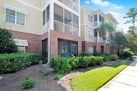 Image result for Basildon Sc