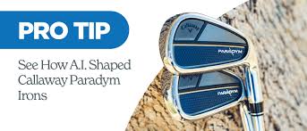 Image result for Callaway Badminton Club