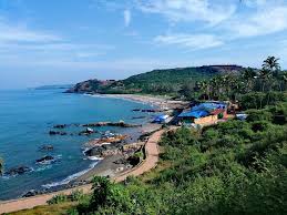 Image result for goa beaches