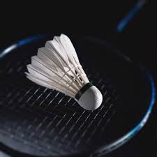 Image result for Feathers Badminton- Leatherhead