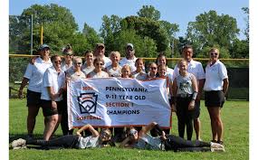 Image result for Elmbridge Girls` Little League