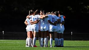 Image result for Hamilton Panthers Association Football Club