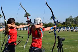 Image result for Blue Arrows Archery Club