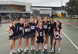 Image result for Treforus Netball Club