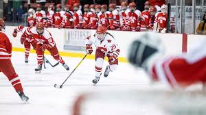 Image result for Norton Cyclones Skater Hockey Club
