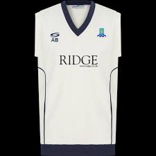 Image result for Theale and Tilehurst Cricket Club