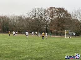 Image result for Newdigate F C