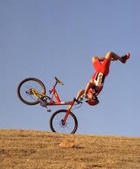 Image result for biker fox