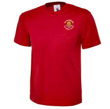 Image result for Alfa Netball Club