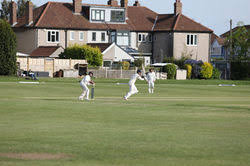 Image result for Park Hill Cricket Club