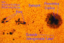 Most sunspots are roughly