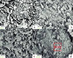 Image result for N C A A C