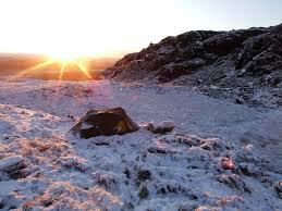 Image result for Yngelfoder