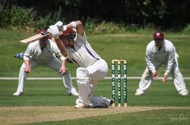 Image result for Waresley Cricket Club
