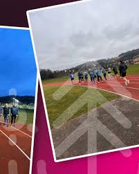 Image result for Bridge Of Allan Sports Club