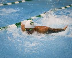 Image result for Maverick Divers