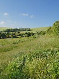 Image result for Adur Indoor Bowling Club