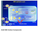 HBV Drug Resistance &amp; Cross-