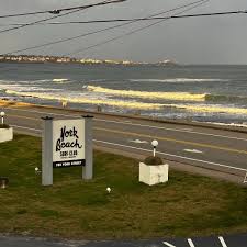Image result for York University Surf Club
